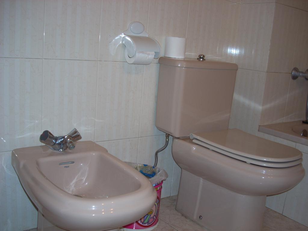 Apartamentos Los Tilos Benasque Zewnętrze zdjęcie